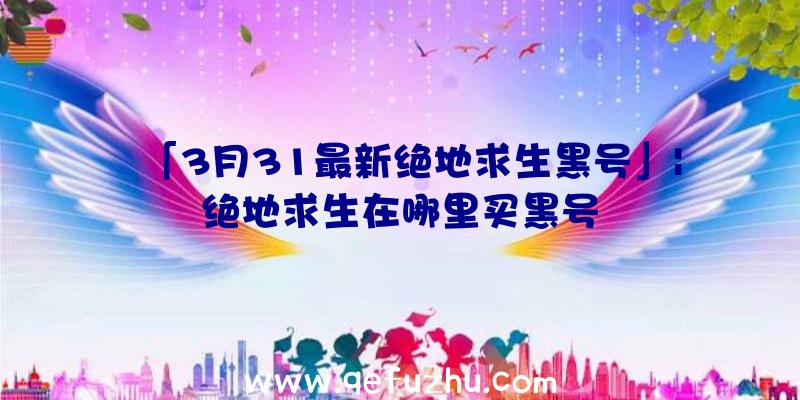 「3月31最新绝地求生黑号」|绝地求生在哪里买黑号